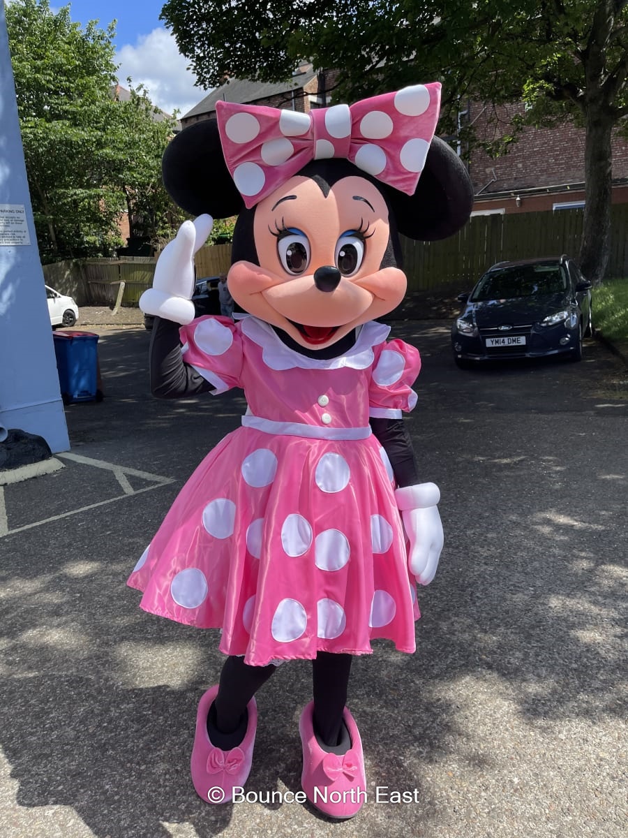 Minnie Mouse Character Bouncy Castle Hire and Kids Party